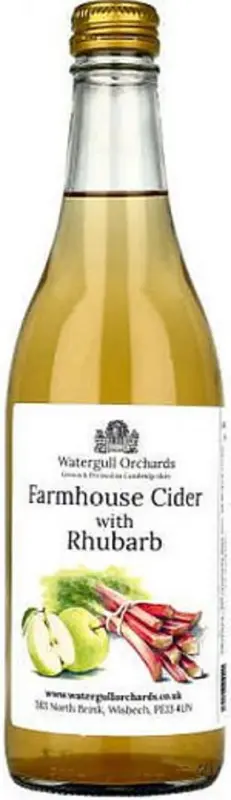 Watergull Orchards Farmhouse Cider with Rhubarb