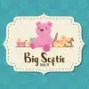 21st Street Brewery Big Softie