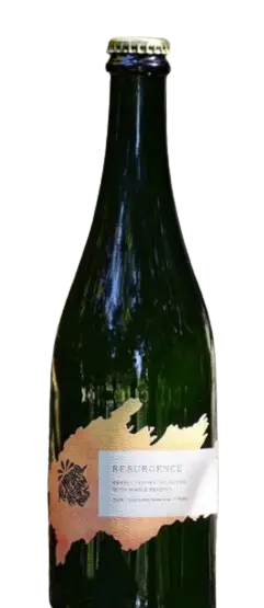 Temporal Artisan Ales Resurgence