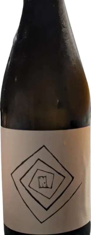 Freak Folk Bier Lodestar IV