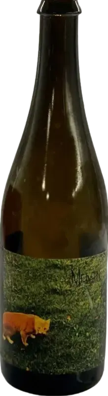 Freak Folk Bier Melvin