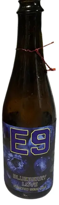 E9 Brewing Co. Blueberry Love