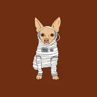 Nano Cinco Calie Dans L'espace