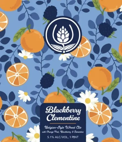 Source Farmhouse Brewery Blackberry Clementine