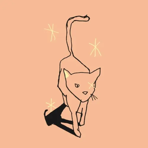 Slake Brewing Darren The One Eyed Cat (2025 Pinot Gris)
