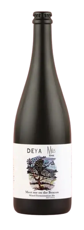 DEYA Brewing Company Meet Me On the Beacon