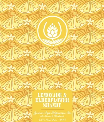 Source Farmhouse Brewery Lemonade & Elderflower Shandy