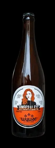 Holíčsky Pivovar Wywar Ginger Ale 12°