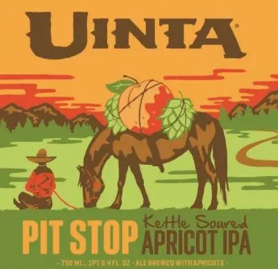 Uinta Brewing Company Pit Stop Kettle Soured Apricot IPA