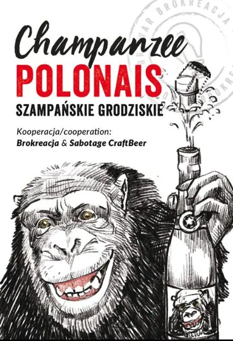 Brokreacja Champanzee Polonais