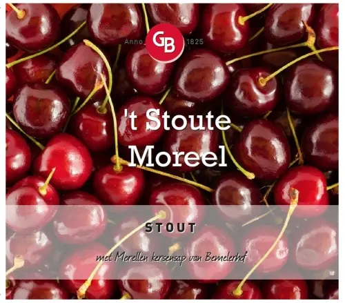 Gulpener Microbrouwerij Stoute Moreel