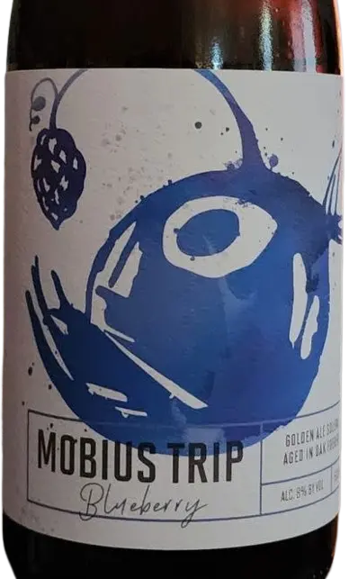 SaltFire Brewing Company Mobias Trip - Blueberry