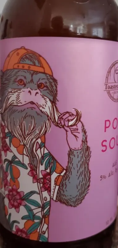 Toasted Barrel Brewery POG Sour