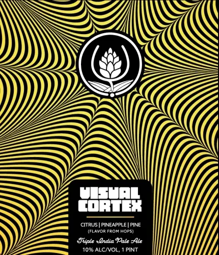 Source Farmhouse Brewery Visual Cortex 4