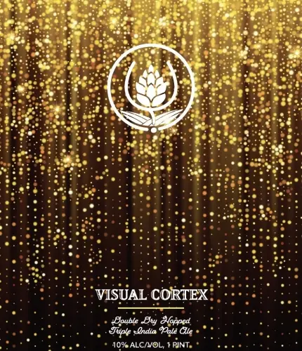 Source Farmhouse Brewery Visual Cortex XII
