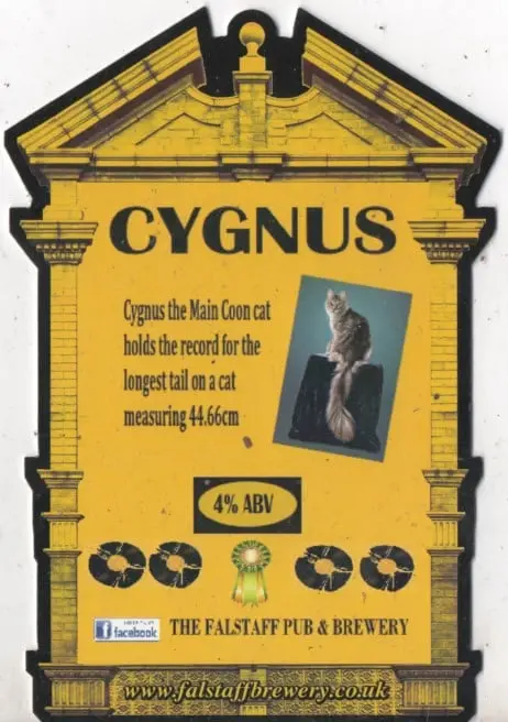 Falstaff Brewery Cygnus