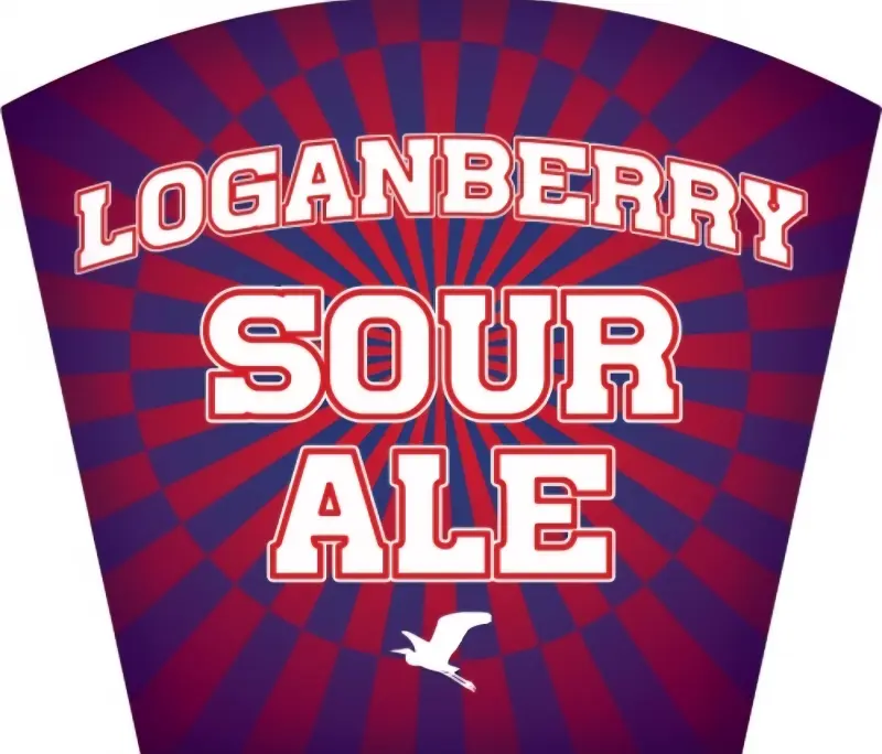 Bolton Landing Brewing Company Loganberry Sour