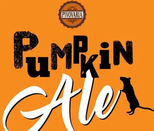 Langier Beer Pumpkin Ale