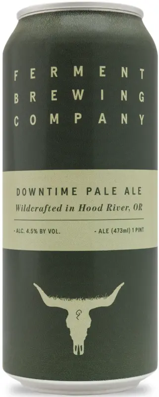 Ferment Brewing Company Downtime Pale Ale