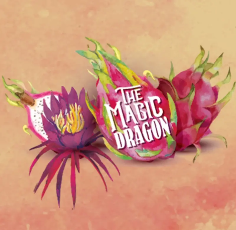 Connecticut Valley Brewing The Magic Dragon