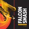 Triple Crossing Beer Falcon Smash