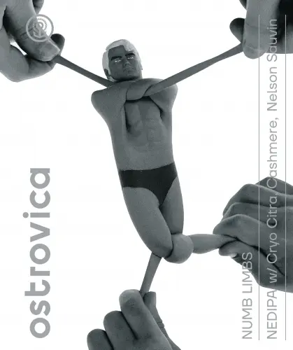 Ostrovica Numb Limbs