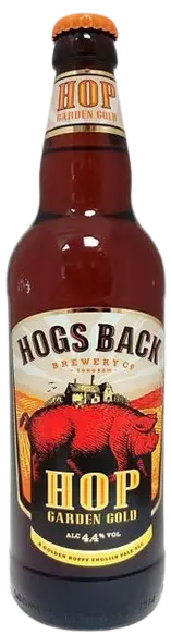 Hogs Back Brewery Hop Garden Gold (Bottle)