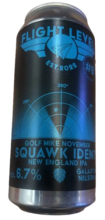 Flight Level Brewing Squawk Ident #9 Golf Mike November