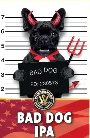 Windermere Brewing Bad Dog