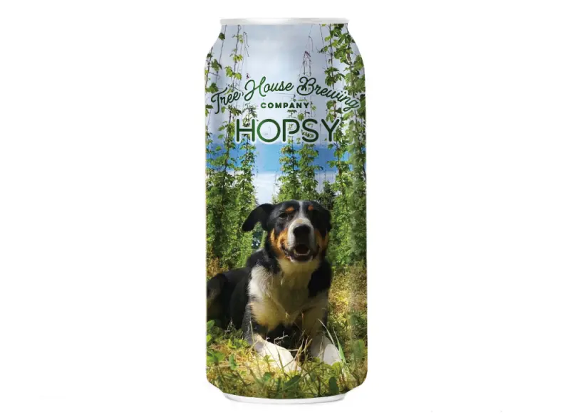 Tree House Brewing Company Hopsy Pilsner