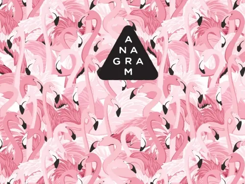 Anagram Brewing Pink Flamingose - Sour Cherry