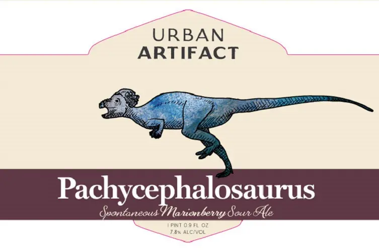 Urban Artifact Pachycephalosaurus (2018)