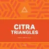 Triple Crossing Beer Citra Triangles