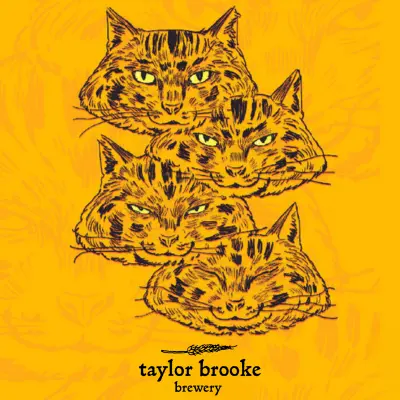 Taylor Brooke Brewery Slow Blink Sequence