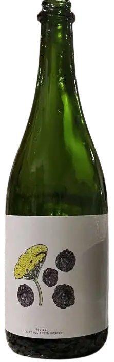 nebuleus Beer Details to Discern