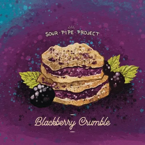 Vitamin Sea Brewing Sour Pipe Project - Blackberry Crumble