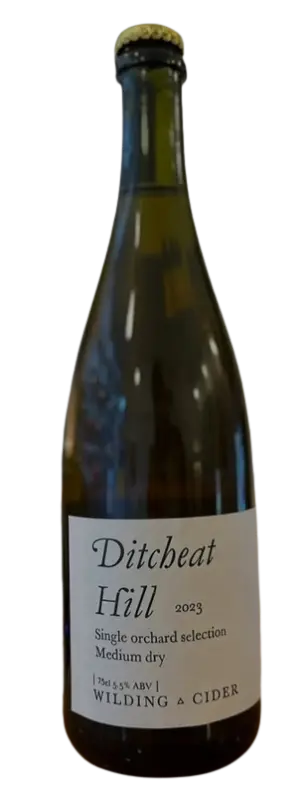 Wilding Cider Ditcheat Hill 2024