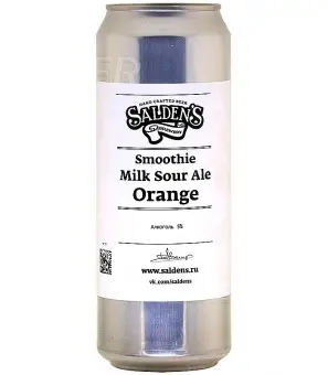 Salden's Brewery Smoothie Milk Sour Ale Orange