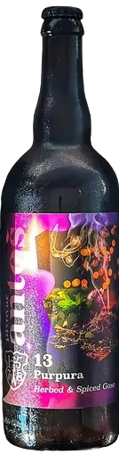 Pivovar Antoš Purpura 13