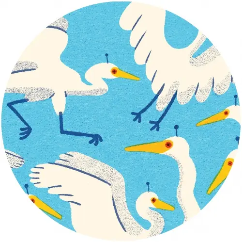 Ferndale Project Birds Aren't Real