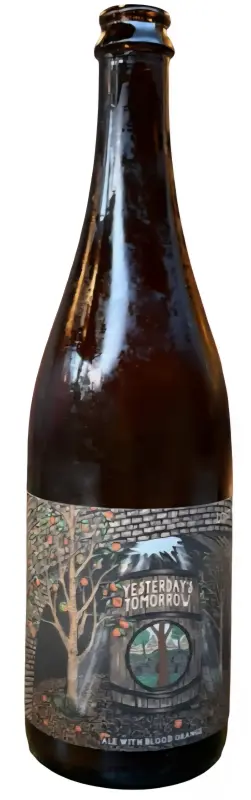 Lost Nation Brewing Yesterday's Tomorrow (Blood Orange)
