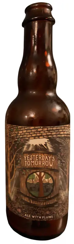 Lost Nation Brewing Yesterday's Tomorrow (Plum)