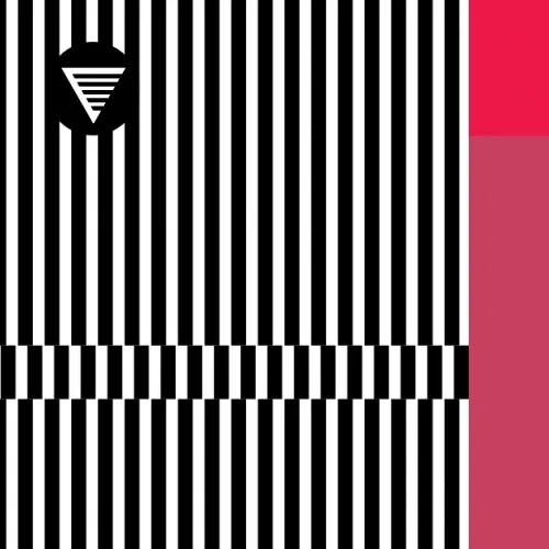 HOMES Brewery Throughline Raspberry (2019)