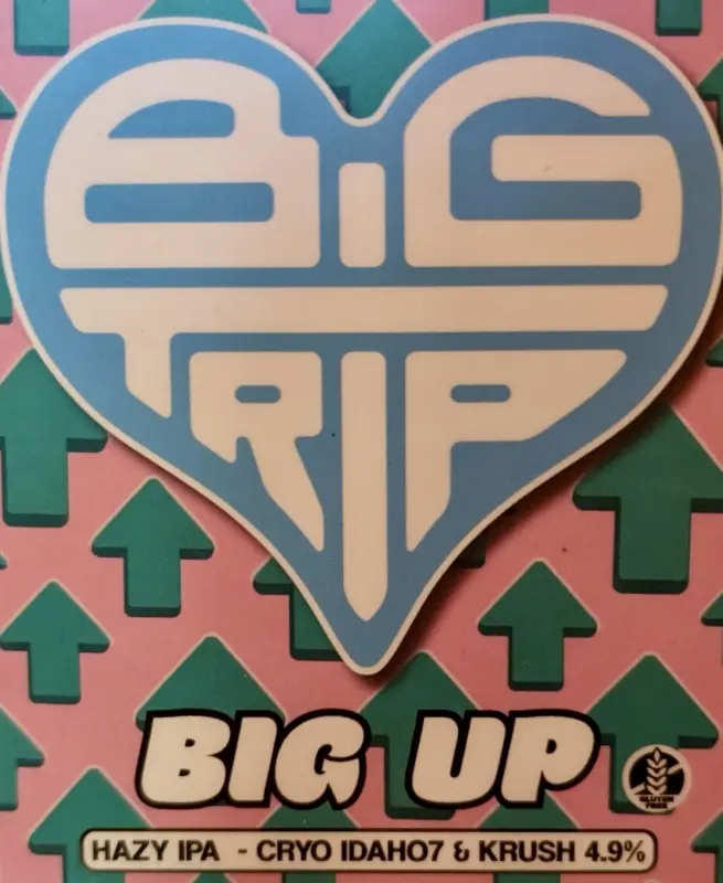 Big Trip Brewery Big Up