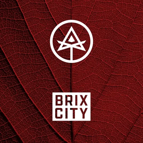 Autodidact Beer Headyteeth
