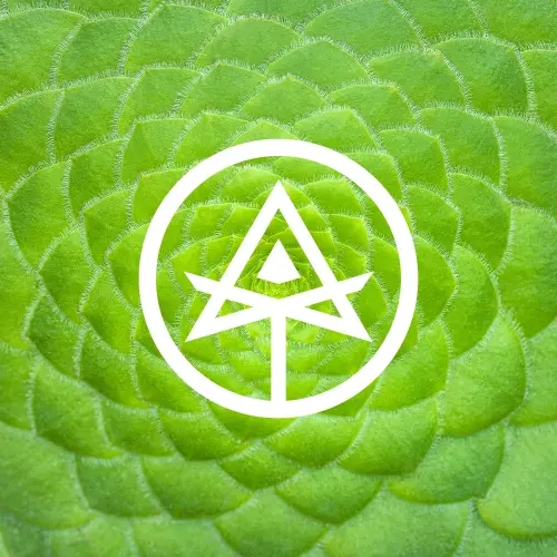 Autodidact Beer Inner Paths