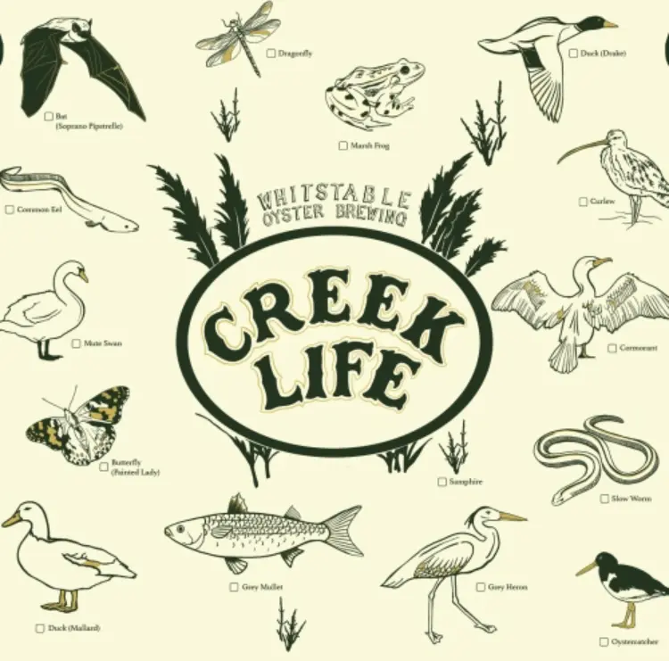Whitstable Oyster Brewing Creek Life