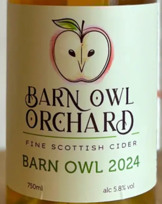 Barn Owl Orchard Barn Owl 2024