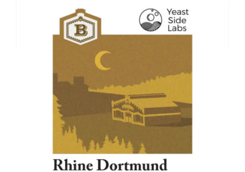 Brofaktura Rhine Dortmund