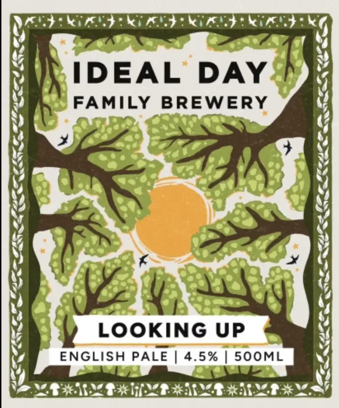 Ideal Day Family Brewery Looking Up